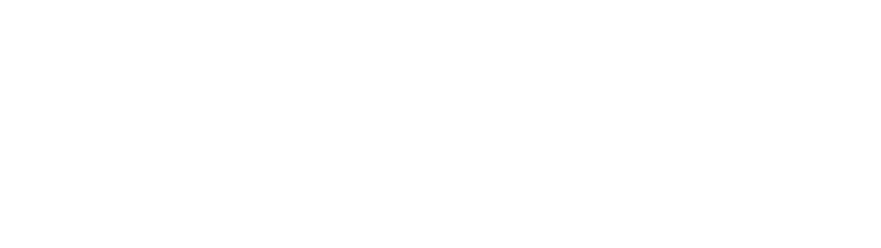 NLS Global Sigorta logosu